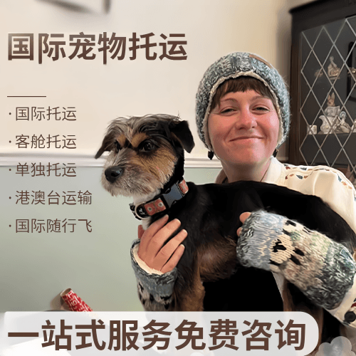 新北市国际宠物托运到阿根廷宠物入境规定和要