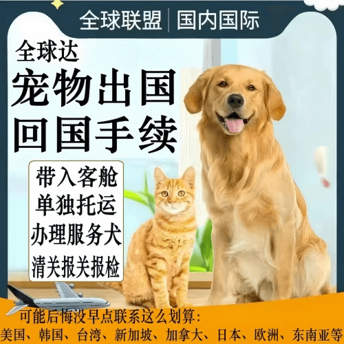 新北市宠物托运到柬埔寨宠物入境规定和要求