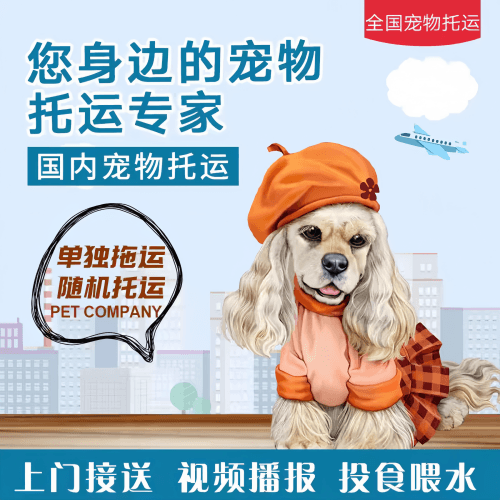 满财新北市宠物全球达宠物托运作为专业的宠物运输代理机构